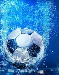 用户王女士使用体验